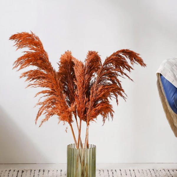 Nestasia Pampas Grass For Vase