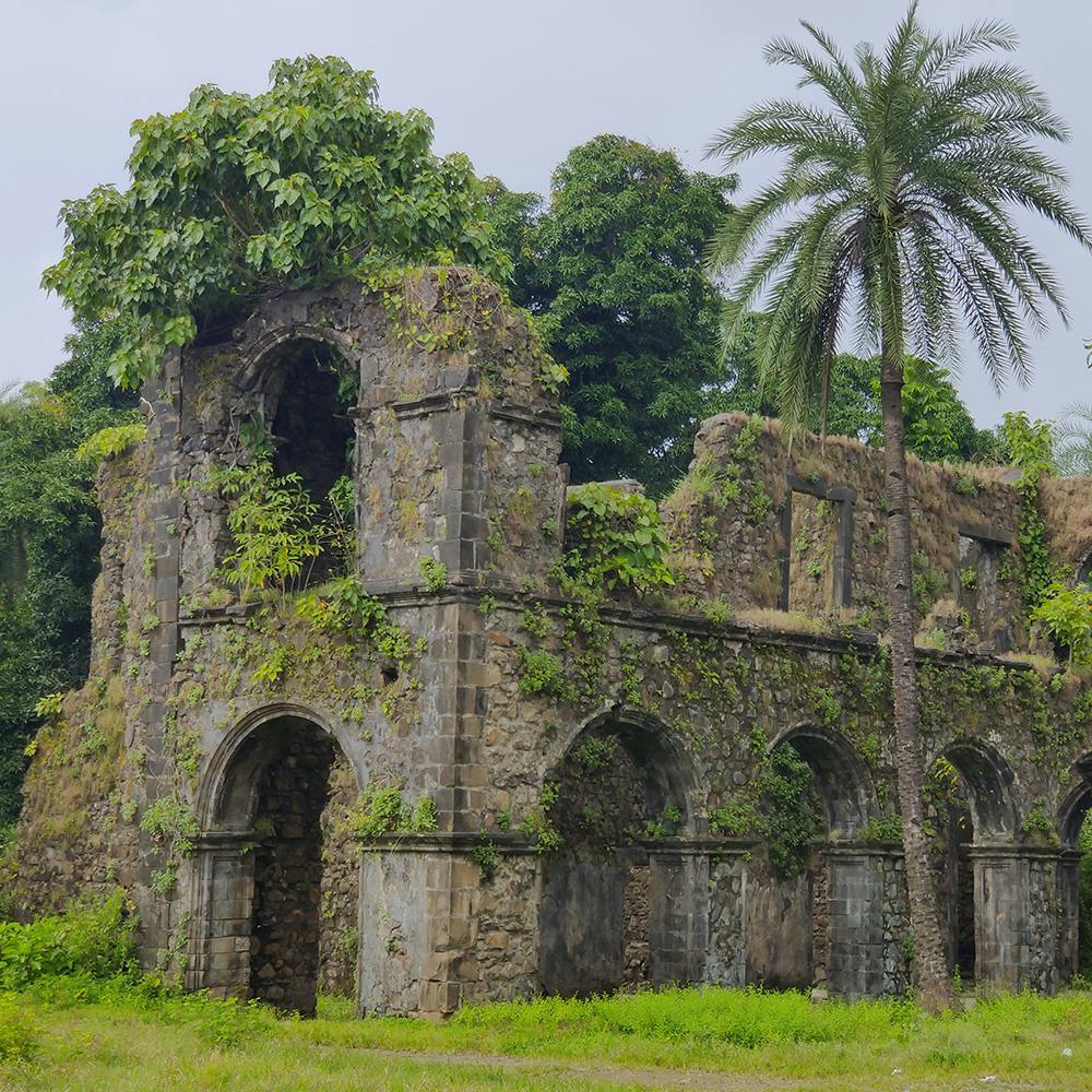 Sky,Plant,Tree,Archaeological site,Grass,Terrestrial plant,Shrub,Arch,Church,Medieval architecture