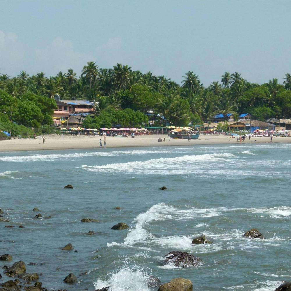 Water,Sky,Tree,People on beach,Coastal and oceanic landforms,Beach,Wind wave,Leisure,Plant,Wind