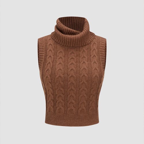 Cider Brown High Neck Textured Cable Knit Crop Vest Top