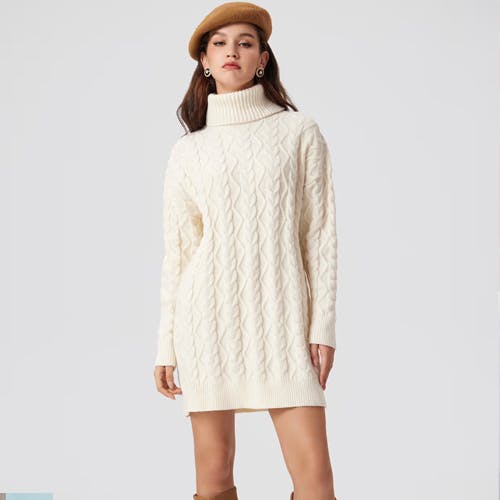 Cider Knit High Neck Rib Dress