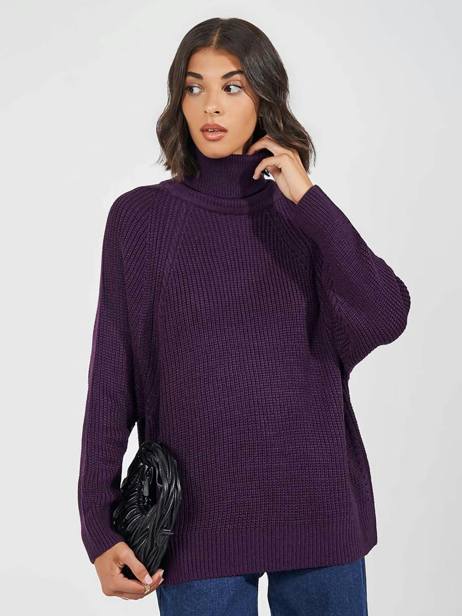 Purple Solid Turtleneck Sweater